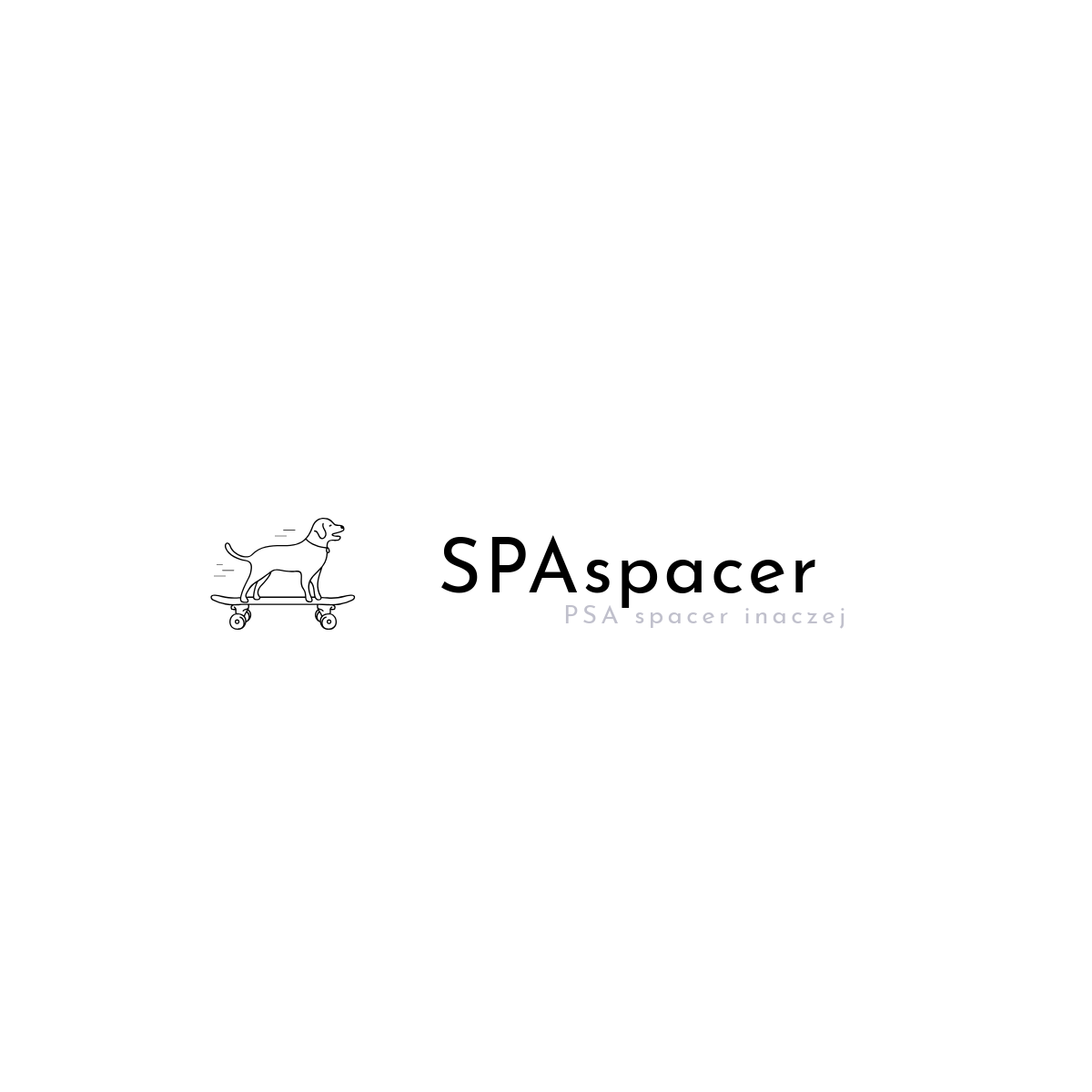 SPAspacer